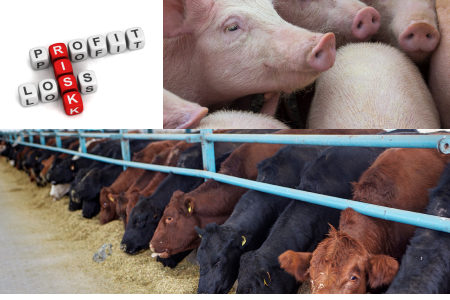Livestock Price and Market Risk Management